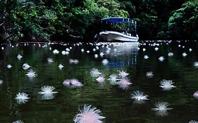 星野リゾート 西表島ホテル